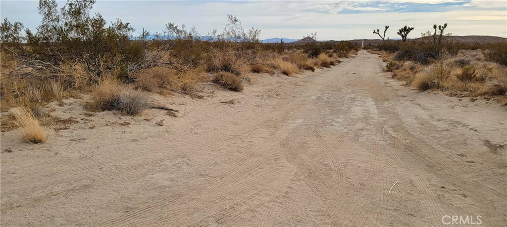 Mojave, CA 93560,0 Sopp