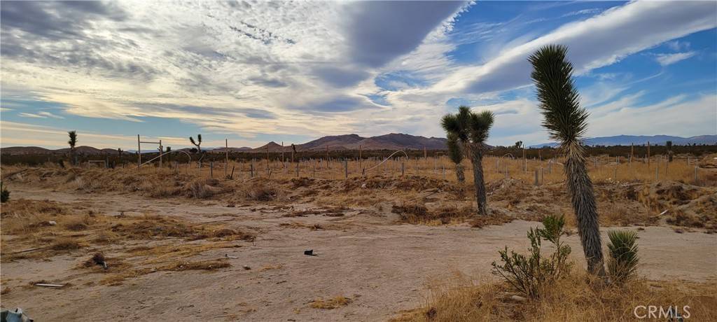 Mojave, CA 93560,0 Sopp