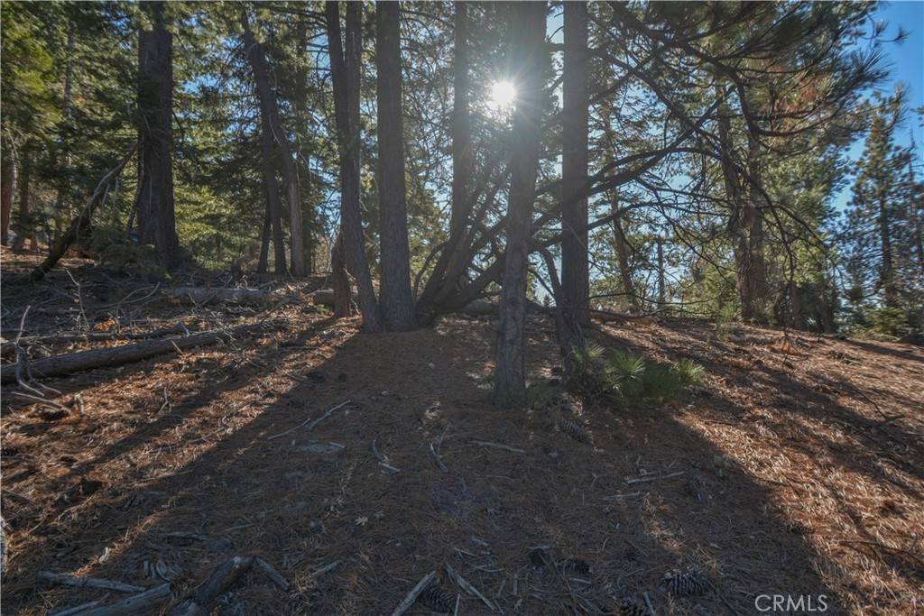 0 Cobblestone LN Running Springs, CA 92382