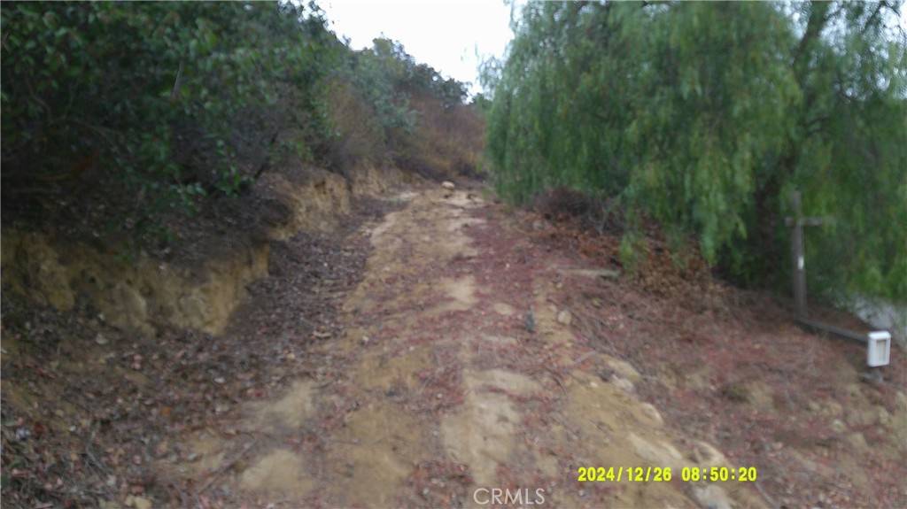 Chino Hills, CA 91709,16788 Hillside DR