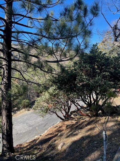 Lake Arrowhead, CA 92352,0 Brentwood DR