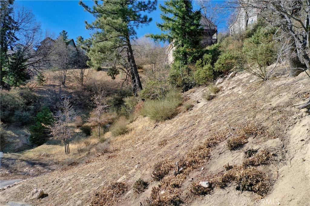 Lake Arrowhead, CA 92352,244 Lot 244 Marin LN