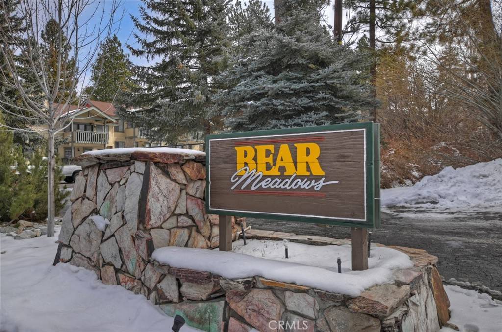 Big Bear Lake, CA 92315,43077 Goldmine Woods LN