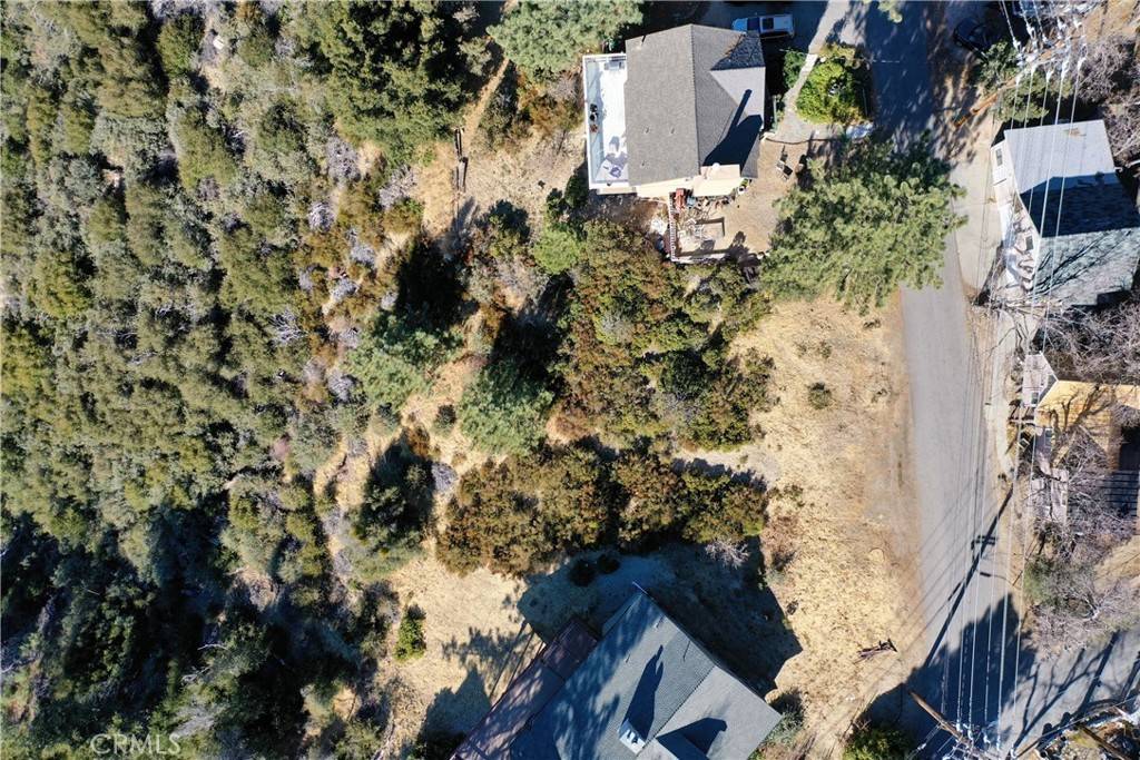 Lake Arrowhead, CA 93252,1608 Edge Cliff DR