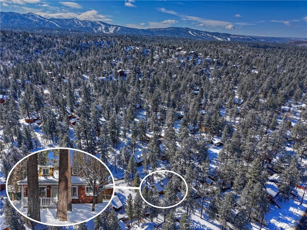 Big Bear City, CA 92314,445 Barrett WAY