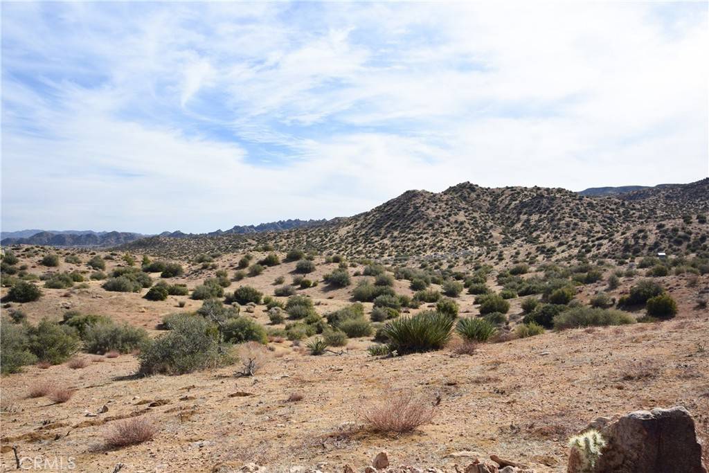 Pioneertown, CA 92268,0 Tumbleweed TRL