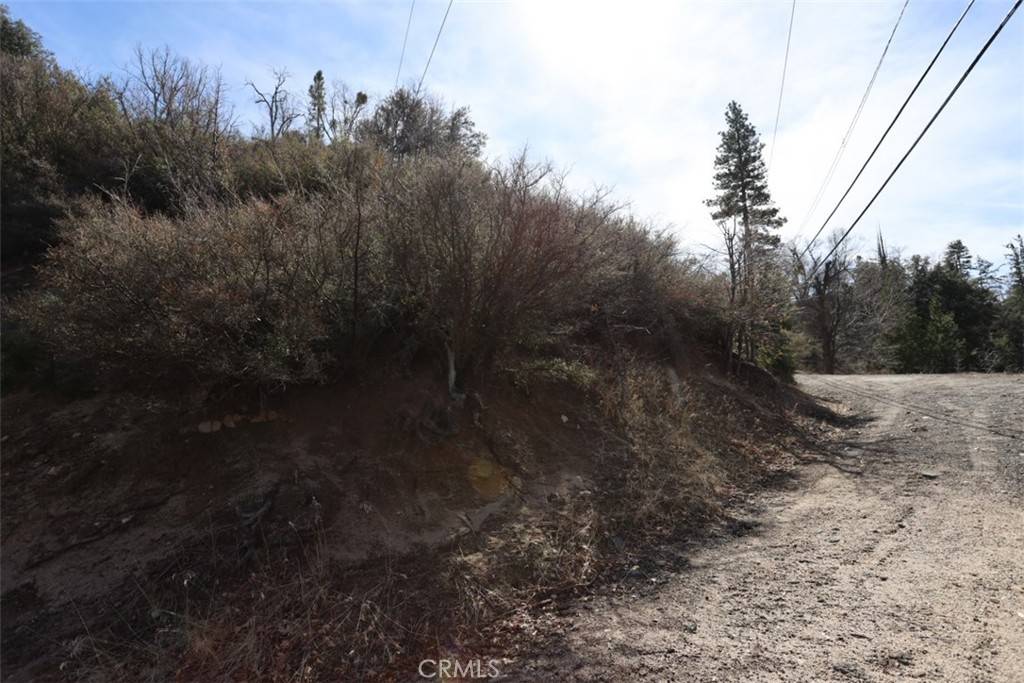 Cedar Glen, CA 92321,0 Acacia RD
