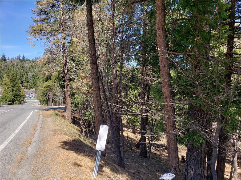 0 San Moritz DR Crestline, CA 92325