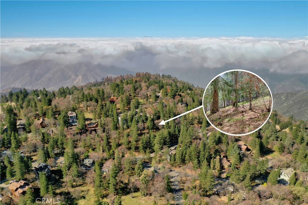 Running Springs, CA 92382,0 Pixie DR