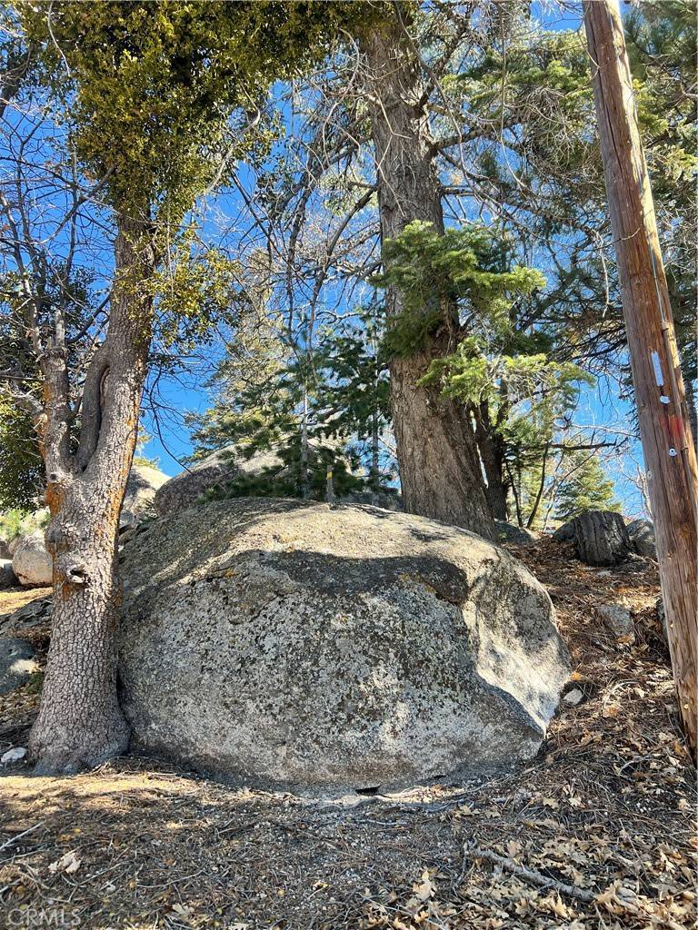 Arrowbear, CA 92382,0 Woodland Ct