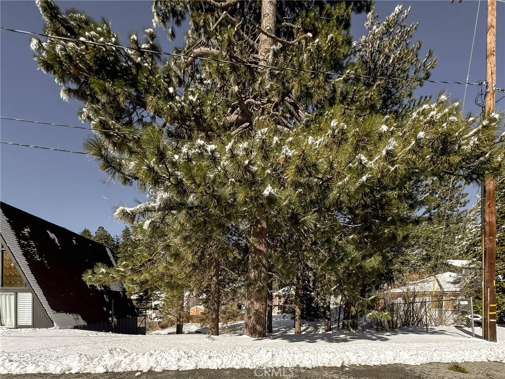 Running Springs, CA 92382,0 Ca-18