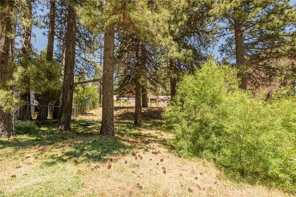 Running Springs, CA 92382,0 Ca-18