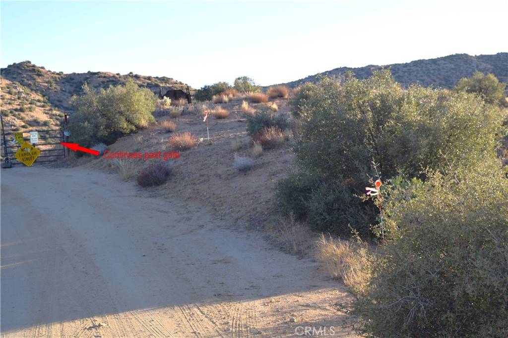 Pioneertown, CA 92268,0 Tumbleweed TRL
