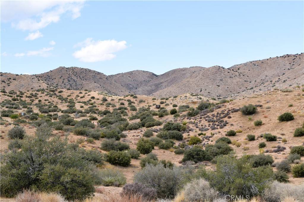 Pioneertown, CA 92268,0 Tumbleweed TRL