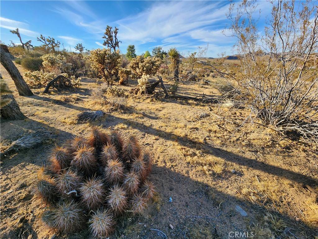 61329 Rocky Vista LN Joshua Tree, CA 92252