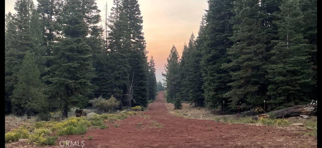 Alturas, CA 96101,0 Bobcat DR