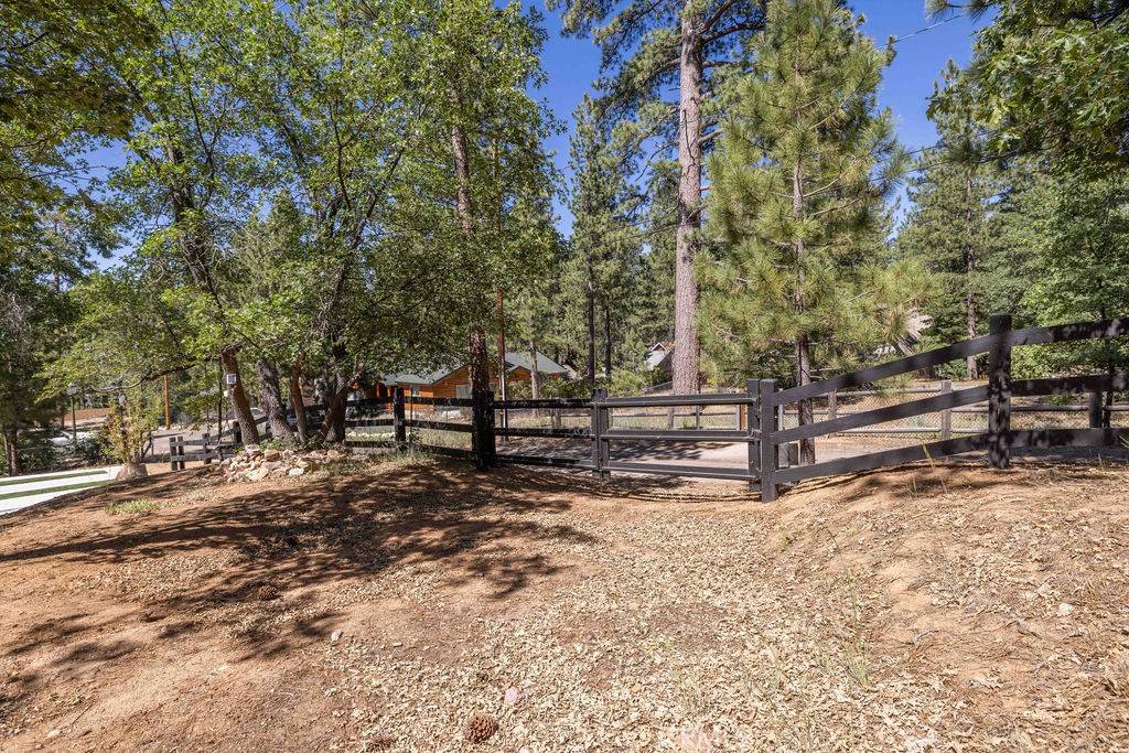Big Bear Lake, CA 92315,812 Ford LN