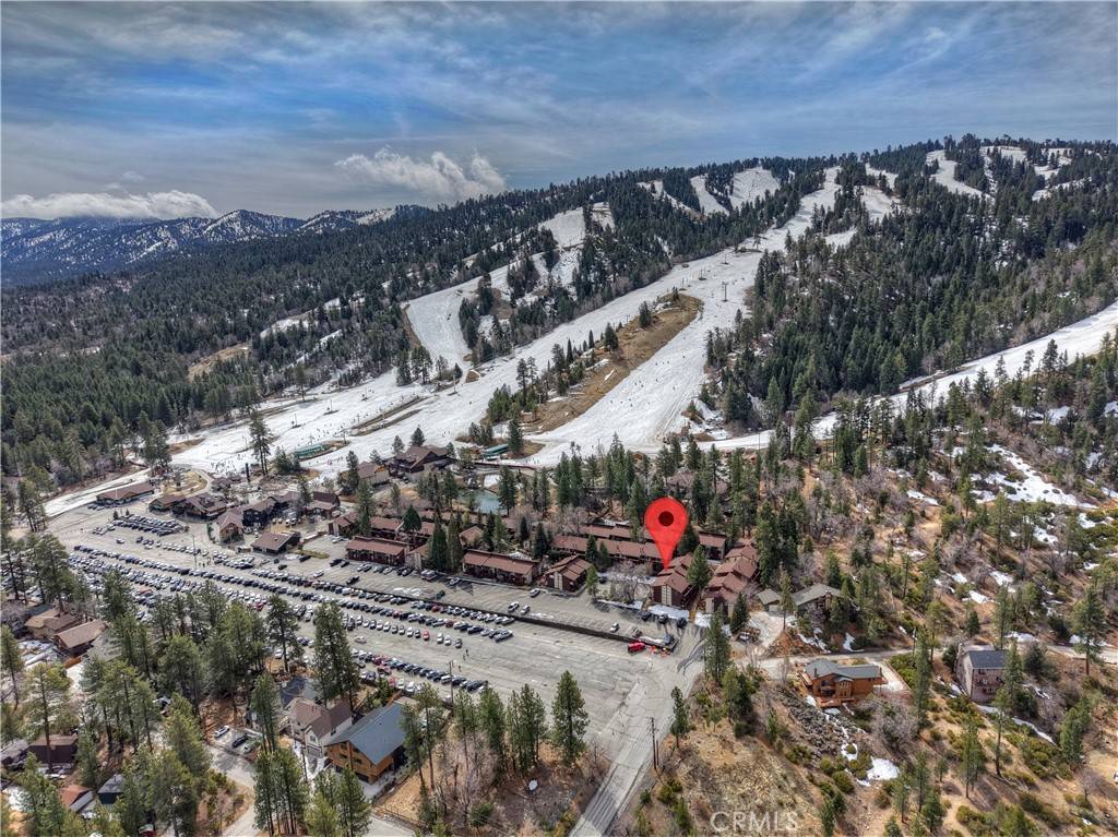 Big Bear Lake, CA 92315,861 Thrush DR #14