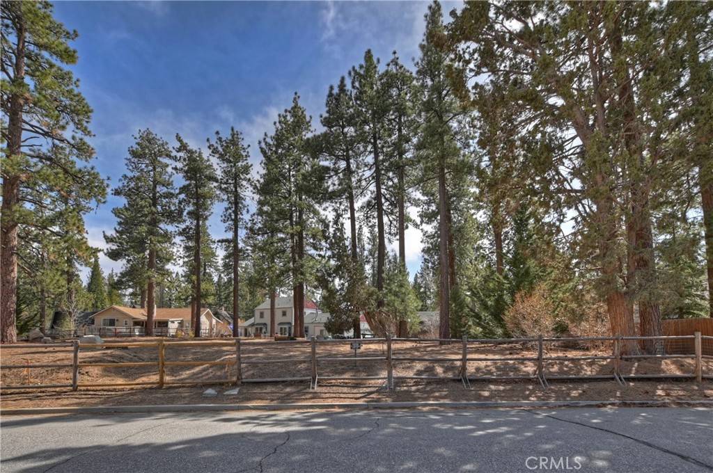 Big Bear Lake, CA 92315,42569 Gold Rush