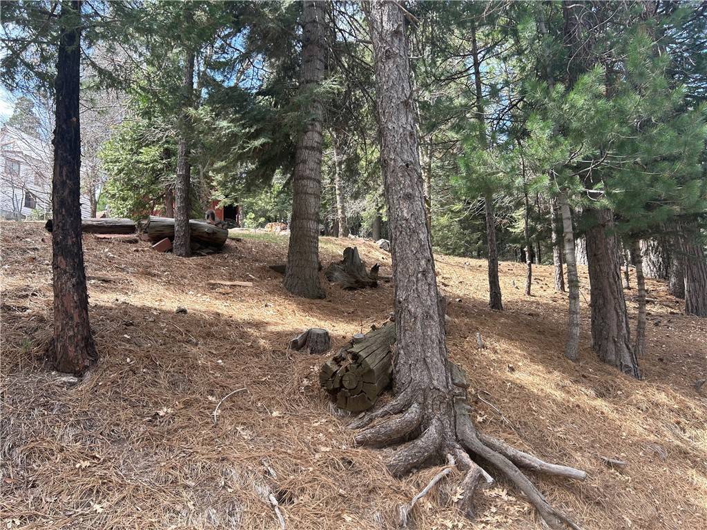 Twin Peaks, CA 92391,0 Mid Ln