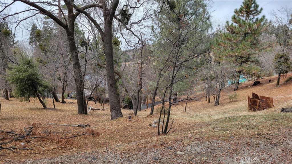 Running Springs, CA 92382,0 Winding WAY