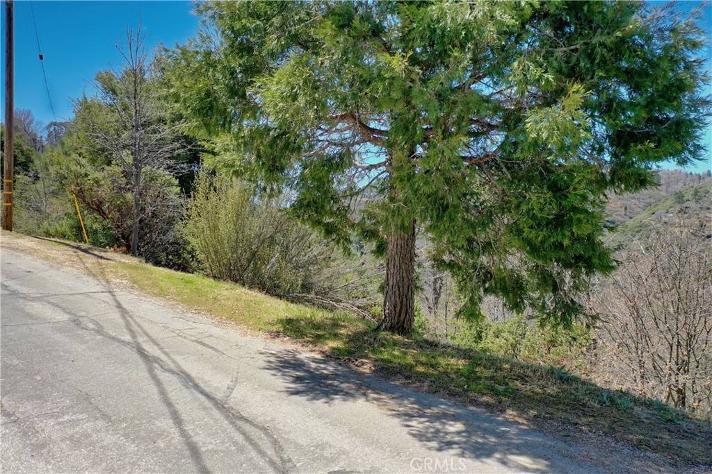 Lake Arrowhead, CA 92352,0 Edge Cliff DR