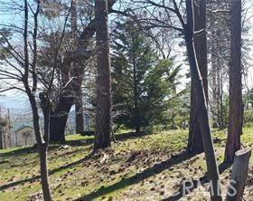 42 Park DR Running Springs, CA 92382