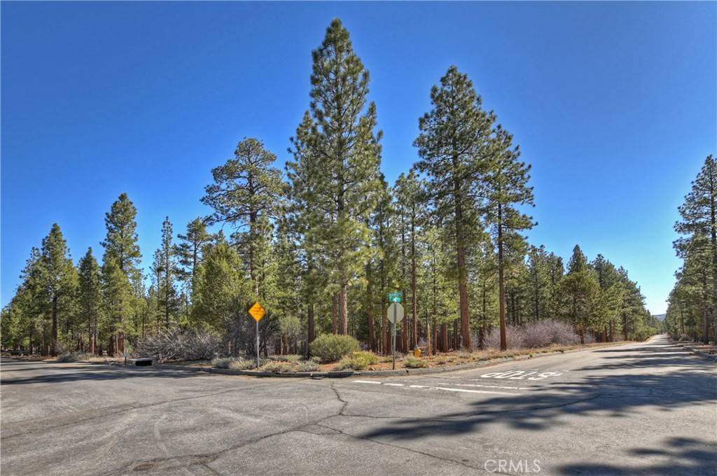 Big Bear, CA 92314,994 Wilderness DR