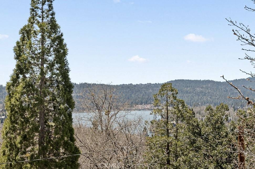 Lake Arrowhead, CA 92352,1204 Yellowstone DR