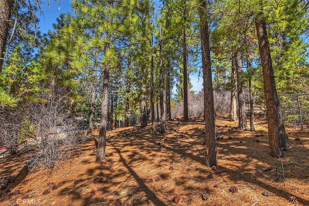 Big Bear Lake, CA 92315,393 Catalina RD