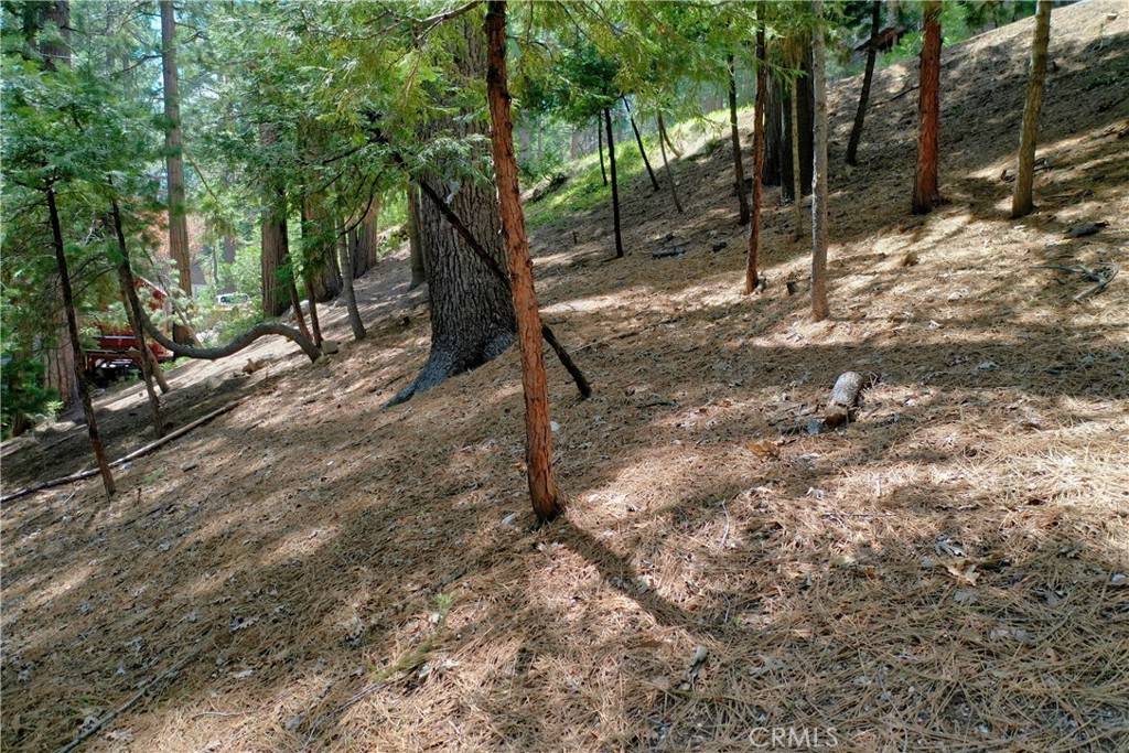 Lake Arrowhead, CA 92352,0 Terrace