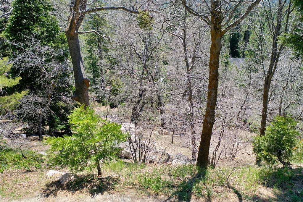 Lake Arrowhead, CA 92352,0 Old Toll RD