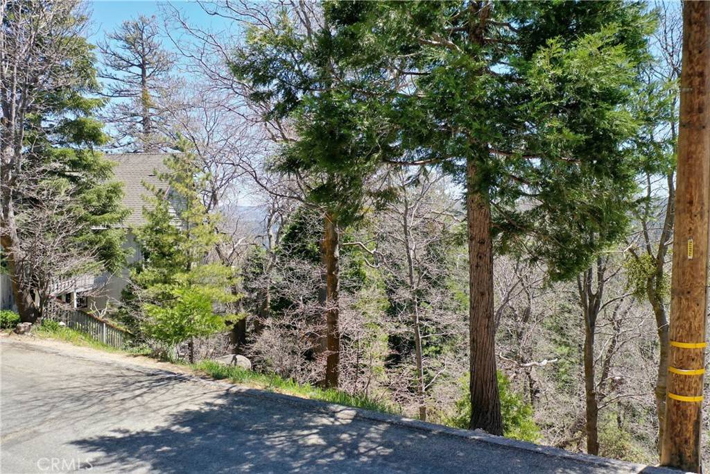 Lake Arrowhead, CA 92352,0 Old Toll RD