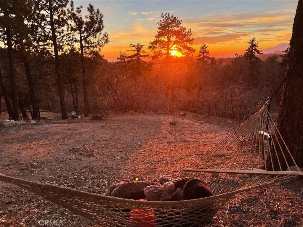 Green Valley Lake, CA 92341,32950 Canyon DR