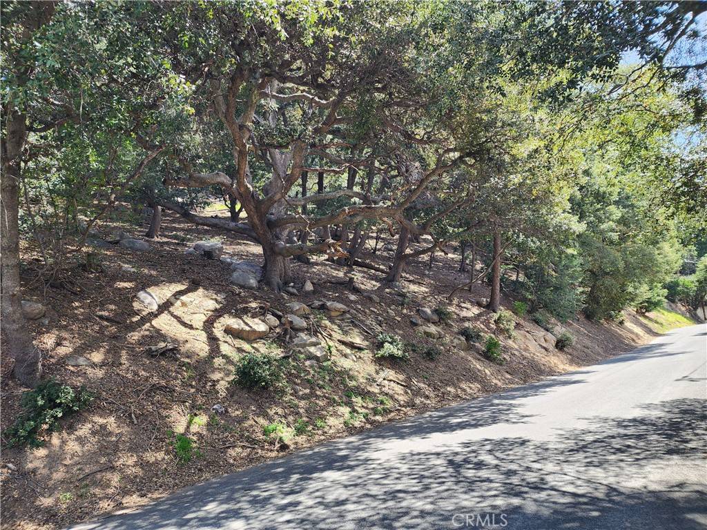 Crestline, CA 92325,0 Arbula DR