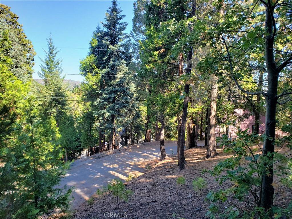 Lake Arrowhead, CA 92352,330 Castle Gate RD