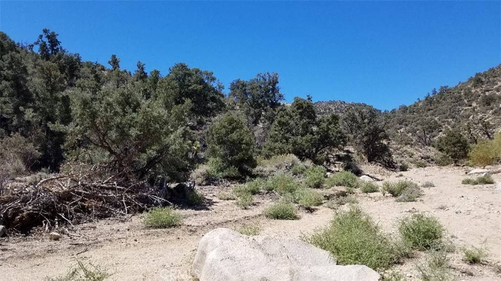 Pioneertown, CA 92268,0 Orion Trail