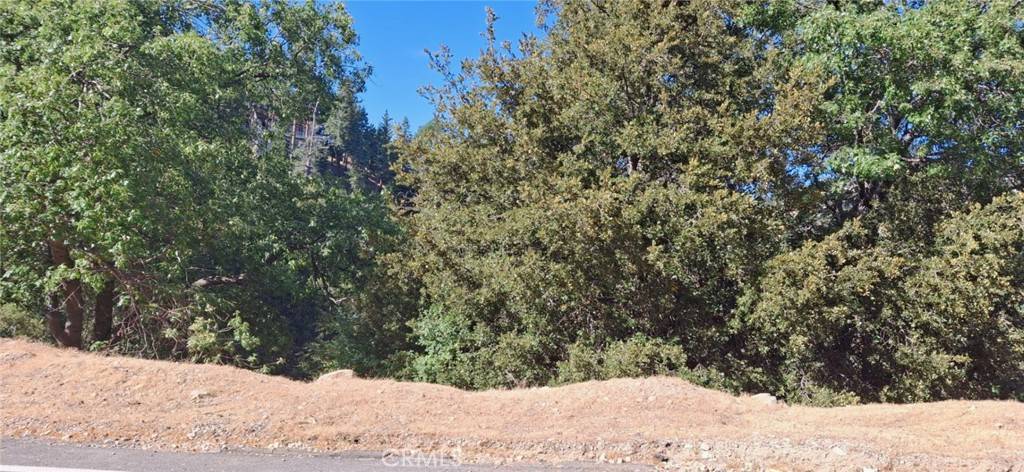 Lake Arrowhead, CA 92352,0 Brentwood DR