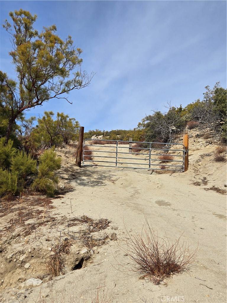 Anza, CA 92539,61400 Indian Paint Brush RD