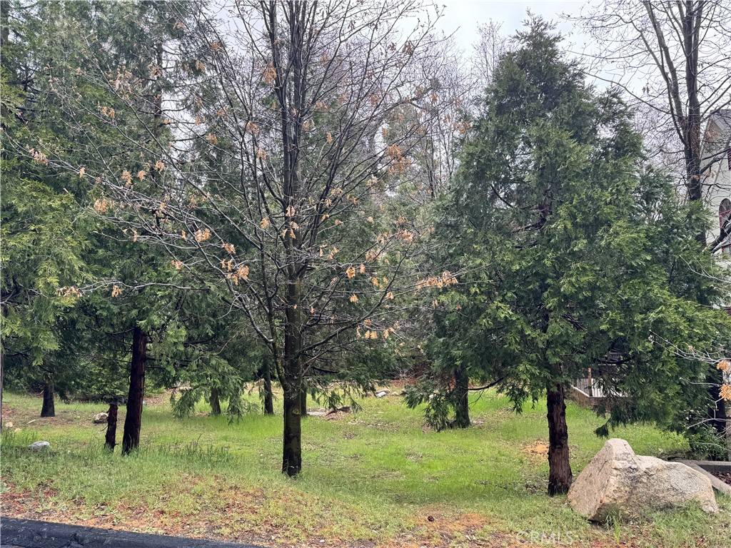 Lake Arrowhead, CA 92352,27525 Meadow Bay DR