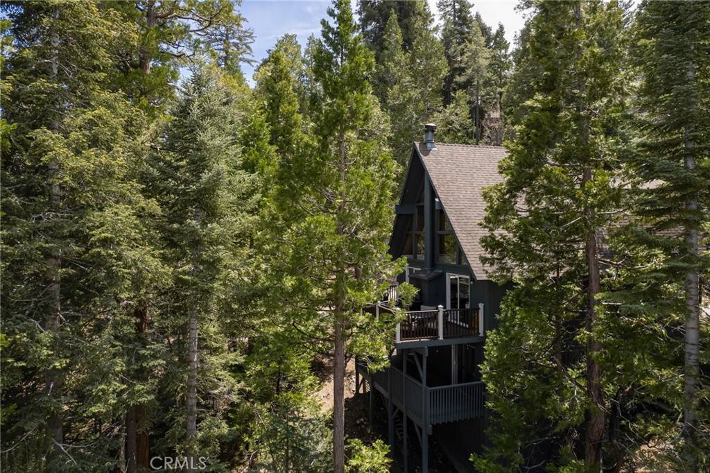 Lake Arrowhead, CA 92317,265 Grizzly RD
