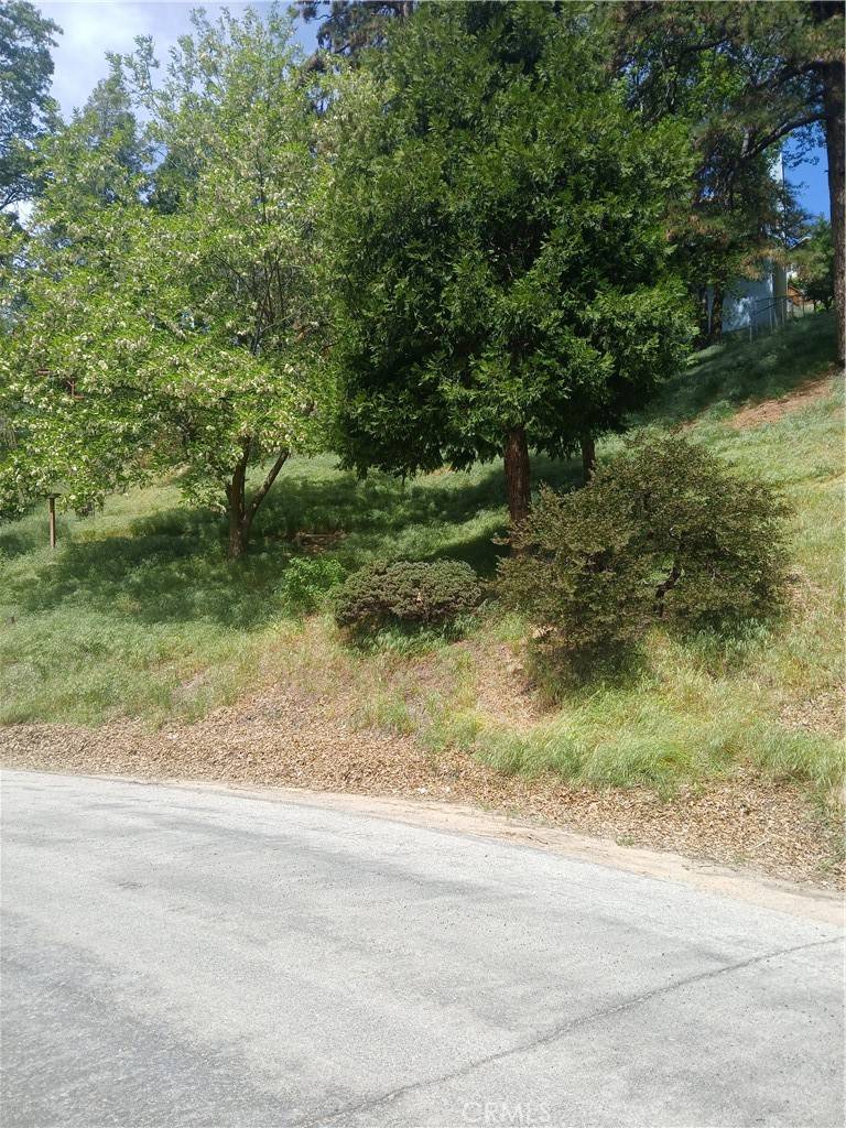 Crestline, CA 92325,0 Davos