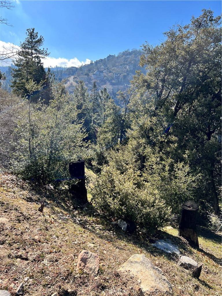Lake Arrowhead, CA 92352,0 Brentwood DR