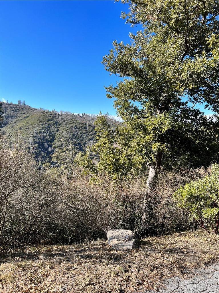 Lake Arrowhead, CA 92352,0 Brentwood DR