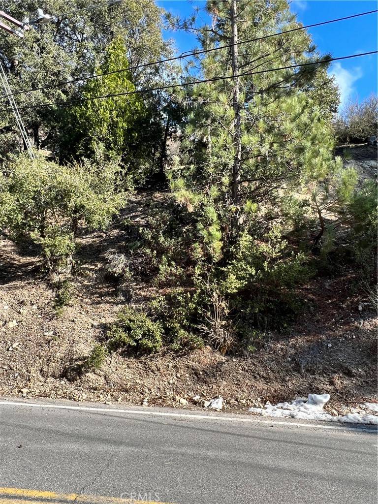 Lake Arrowhead, CA 92352,0 Brentwood DR