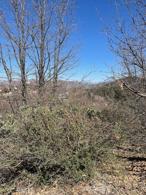 Cedar Glen, CA 92321,481 Oak Dale DR