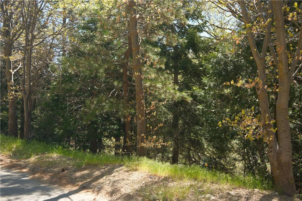 Lake Arrowhead, CA 92352,0 Thunderbird DR