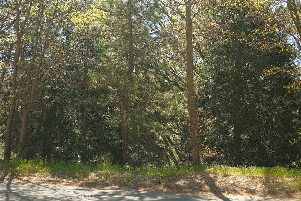 Lake Arrowhead, CA 92352,0 Thunderbird DR