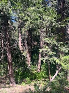 Crestline, CA 92325,0 Ashlar RD N
