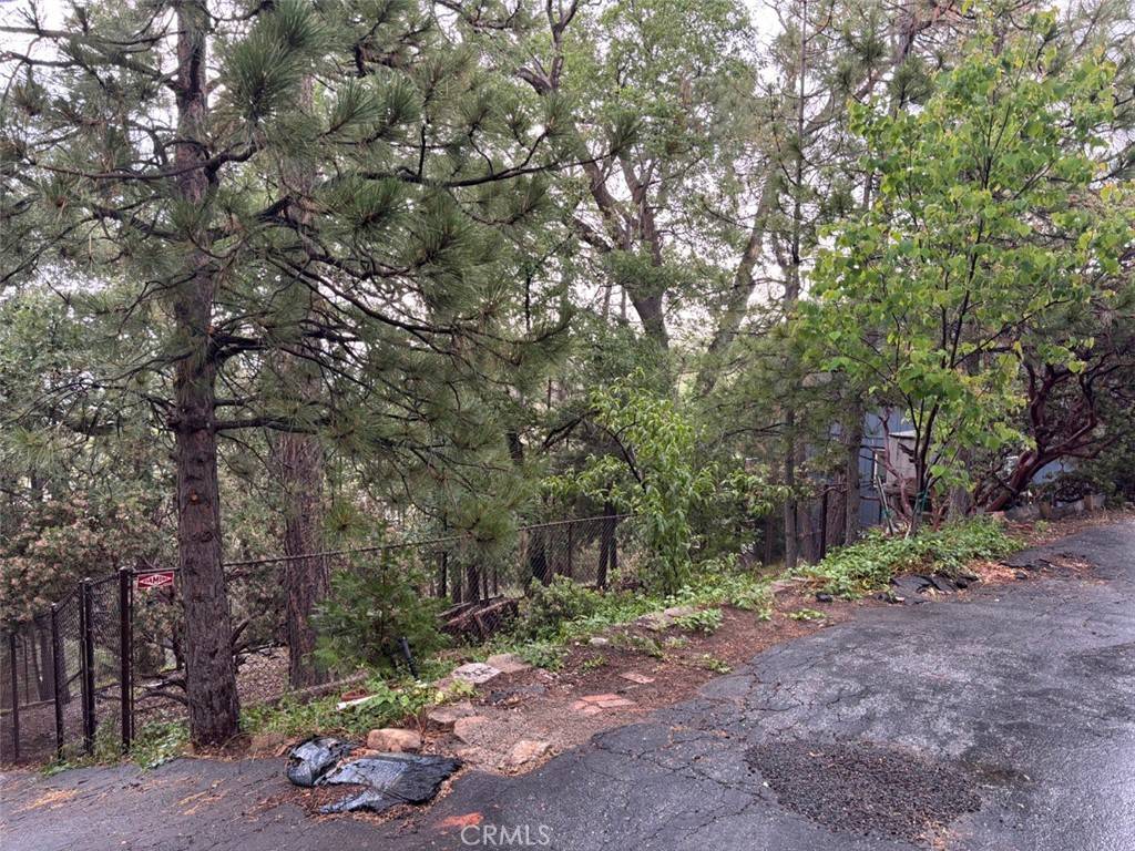 Lake Arrowhead, CA 92352,0 Aleutian DR